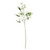 Blossom Spray Cream - 148cm