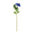 Essential Rose - Blue