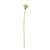 Agapanthus Stem Green - 77cm