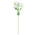 Clematis Spray Cream - 67cm