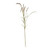 Setaria Grass Spray Cream - 105cm