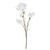 Peach Blossom Spray Cream - 78cm