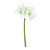 Hippeastrum Spray Cream X 3 - 83cm