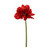 Hippeastrum Spray X 3 - Red - 83cm