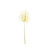 Essential Dry Look Bleached Palm