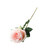 Essential Garden Rose - Pale Pink