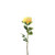 Essential Garden Rose - Lemon