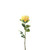Essential Garden Rose - Lemon