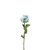 Essential Garden Rose - Tonal Ice Blue