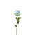 Essential Garden Rose - Tonal Ice Blue