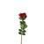 Essential Garden Rose - Russet