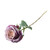 Essential Garden Rose - Vintage  Lilac