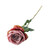 Essential Garden Rose - Vintage  Dusky Pink