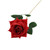 Essential Rose - Red