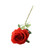 Essential Garden Rose - Red