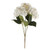Essential Hydrangea Bush - Cream