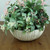 Hortus Bowl 12x29cm