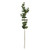 Eucalyptus Spray - 75cm