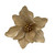 Magnolia Velvet Gold D31 L16cm