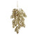 Trailing Gold Bush Stem - 75cm