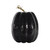 Tall Crackled  Finish Pumpkin - Black / Purple - 21cm x 15cm