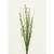 Mini Gyp Spray w Grass Cream