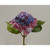 Hydrangea/Berry Lavender