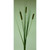 Cattail Spray Brown