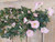 100cm Morning Glory Hanging Bush