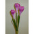Crocus Spray x3 Hot Pink