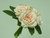 23cm Rose Bundle x5 Pink