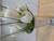 Tulip Bunch Cream