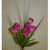 Tulip Bunch Hot Pink
