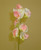 40cm Baby Pink Sweet Pea Spray