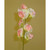 40cm Baby Pink Sweet Pea Spray