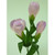 Pink Crocus Spray