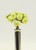 13cm Eva Rose Bunch x12 Yellow