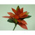 71cm Foam Ginger Stem Red