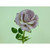 54cm Single Rose Antique Mauve