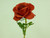 54cm Single Rose Red