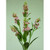 60cm Lavender Spray Pink