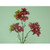 48cm Hydrangea w/Gem Hot Pink