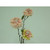 63cm Mini Wild Rose Pink