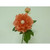 48cm Peony x2 w/Gem Salmon