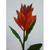 51cm Ginger Spray Burgundy