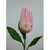 51cm Protea Spray Pink