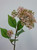 51cm Seed Spray Pink