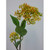 51cm Seed Spray Yellow
