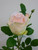 67cm Rose Spray Pink