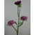 53cm Wild Rose Spray Lavender